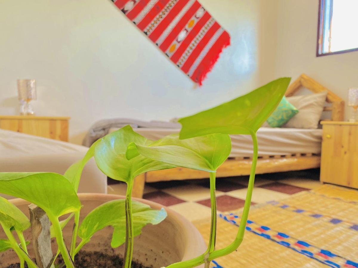 Tizaou Guest House ทากาเซาท์ ภายนอก รูปภาพ